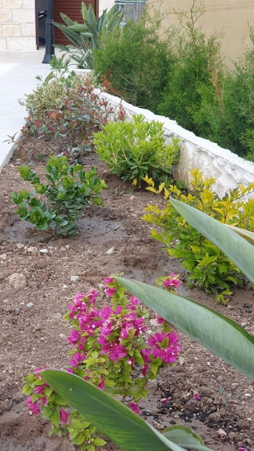 Villa Yermanina Geroskipou Bagian luar foto